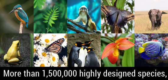 More than 1,500,000 highly designed species